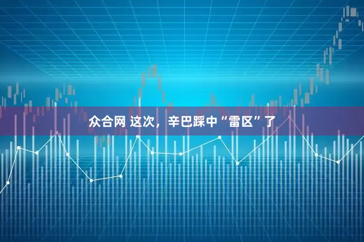 众合网 这次，辛巴踩中“雷区”了