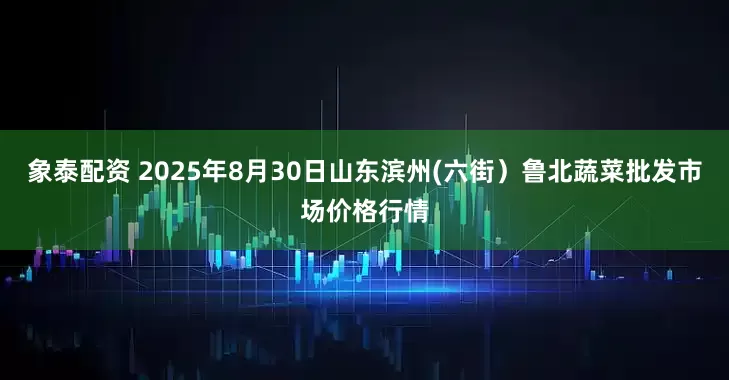 象泰配资 2025年8月30日山东滨州(六街）鲁北蔬菜批发市场价格行情