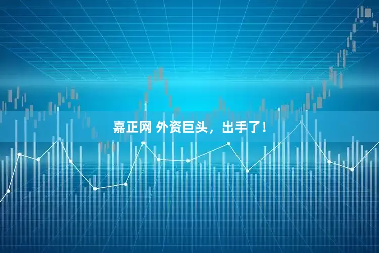 嘉正网 外资巨头，出手了！