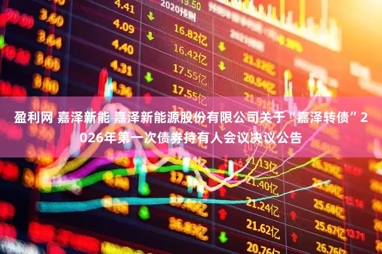 盈利网 嘉泽新能 嘉泽新能源股份有限公司关于“嘉泽转债”2026年第一次债券持有人会议决议公告