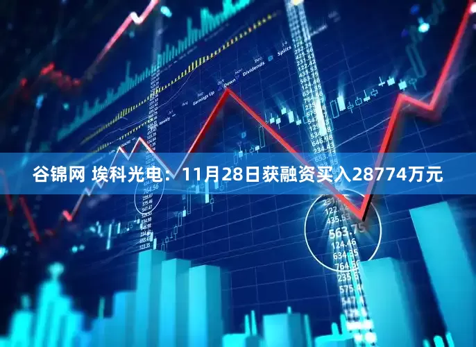谷锦网 埃科光电：11月28日获融资买入28774万元