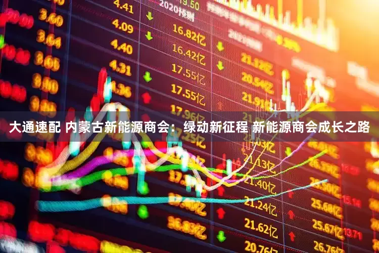 大通速配 内蒙古新能源商会：绿动新征程 新能源商会成长之路